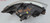 2009 2010 2011 2012 Ford Flex Headlight LH Driver Xenon HID OEM with Ballast Bul