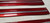 1995 1996 1997 Grand Marquis Crown Vic DOOR TRIM MOLDING BODY SET Red