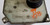 98 99 00 01 02 03 Jaguar XJR XJ8 VDP Windshield Washer Reservoir Tank LNC7038CF