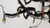 1998 Jaguar XJ8 VDP Dash Wire Harness LNC3010AG