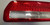 2010 2011 2012 LINCOLN MKZ RH PASSENGER INNER TAIL LIGHT 9H63-13404-A OEM