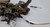1995 1996 1997 Lincoln Town Car Steering Column Assembly
