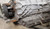 1998 99 00 01 2002Jaguar XJ8 XJ8L VDP Transmission with Converter ZF 5HP-24