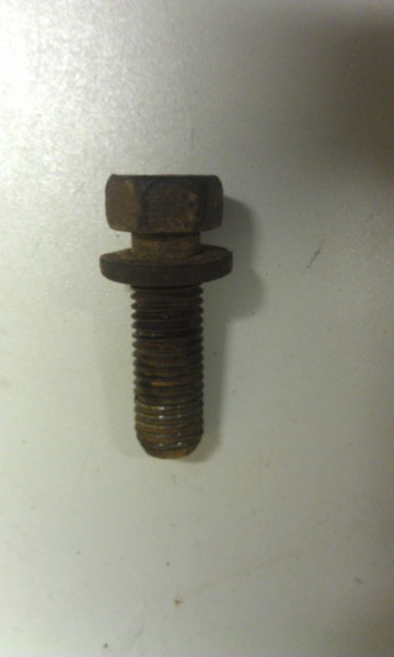 Water Pump Pulley or Jackshaft Pulley Bolt - 1989 - 1995 - Thunderbird and Cougar - WWW.TBSCSHOP.COM