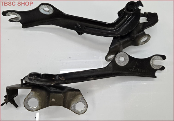 2007 08 09 10 11 2012 Lincoln MKZ Hood Hinge Set Ford OEM