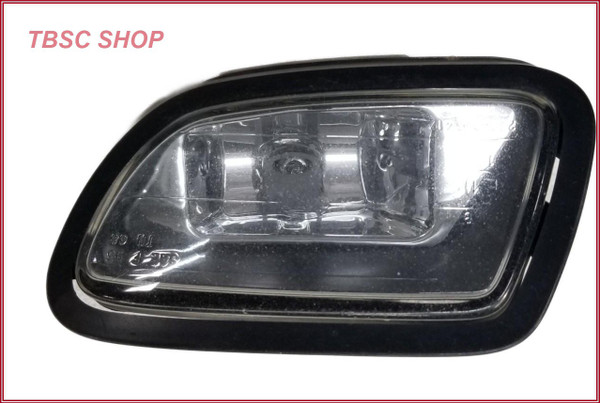 1995 1996 1997 XJ6 XJ12 Left LH Driver Side Fog Light DBC11017