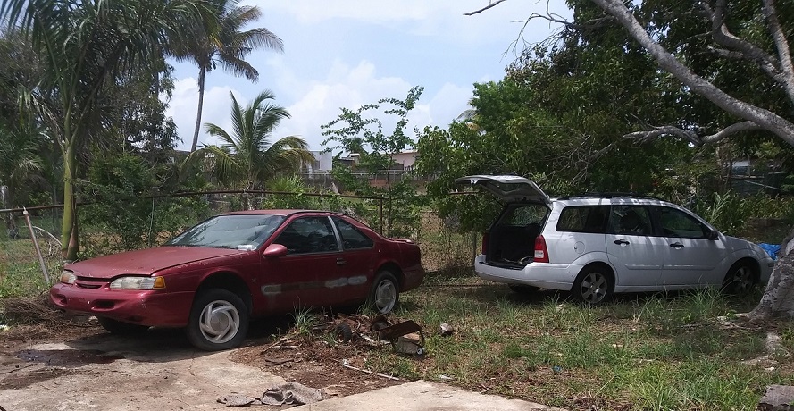 20190817-113218.jpg 20190817-113218.jpg