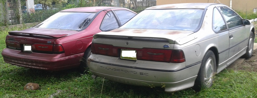 eloy003.jpg eloy003.jpg