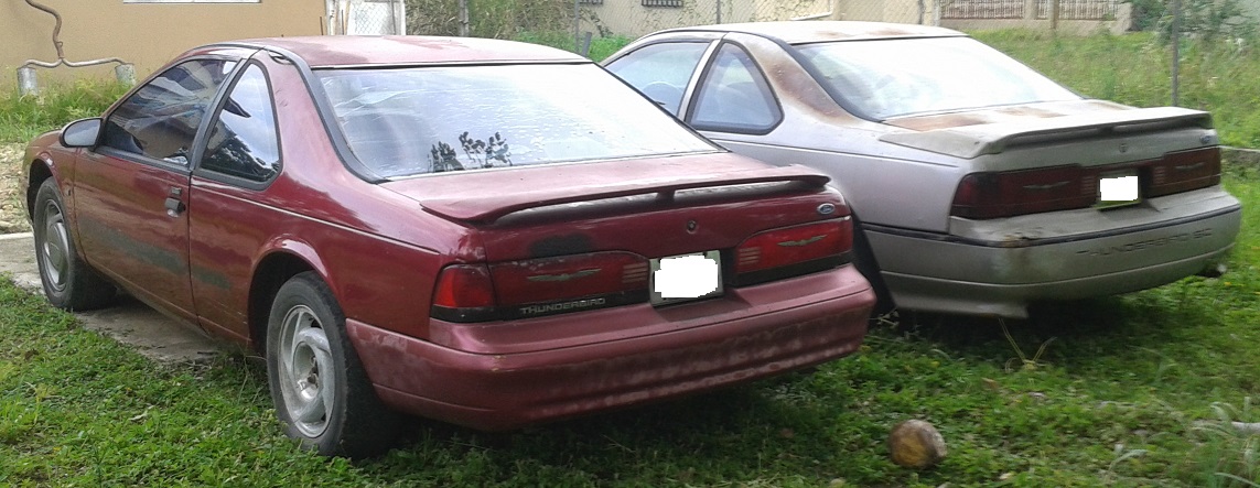 eloy004.jpg eloy004.jpg