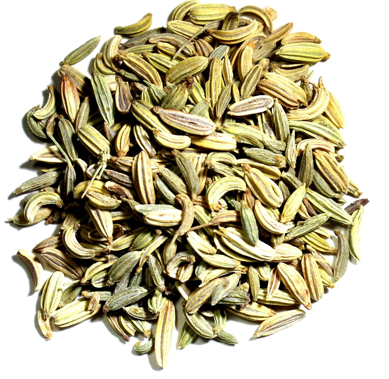 Fennel Seed