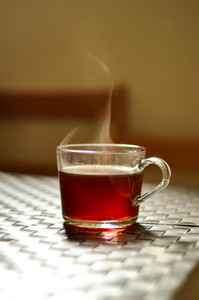 Rooibos vs Honeybush: What’s the Difference?