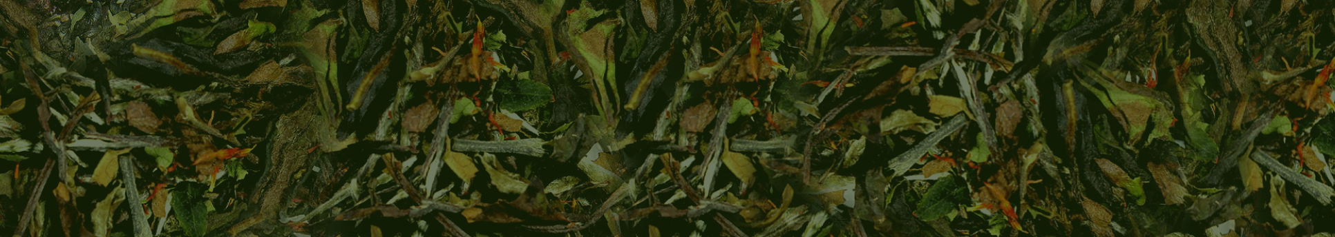 Loose Leaf White Tea