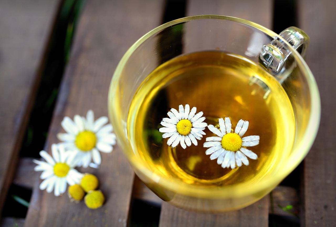 6 Effective Herbal Teas for Sinus Infections