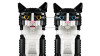 LEGO Ideas Tuxedo Cat 21349