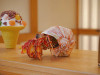 MakeBug  B0008 Bring Nature Home Hermit Crab 3D Kraft Paper Puzzle