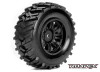 Roapex R/C - Morph 1/10 Short Course Tires, Mounted on Black Wheels, 12mm Hex (1 pair) Roapex R/C - Morph 1/10 Short Course Tires, Mounted on Black Wheels, 12mm Hex (1 pair)