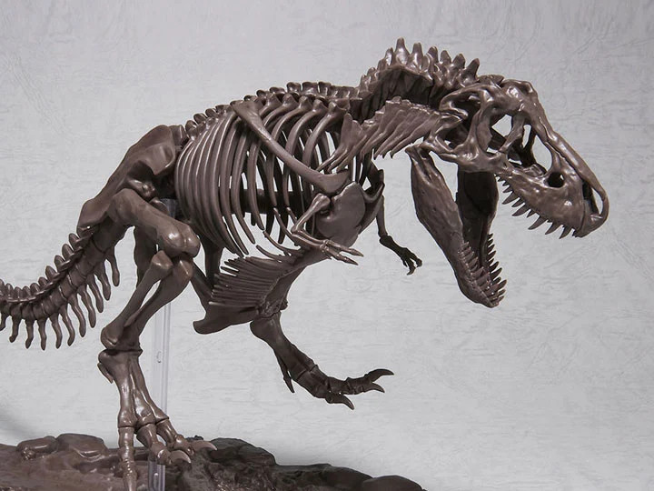 Bandai Spirits Imaginary Skeleton Tyrannosaurus