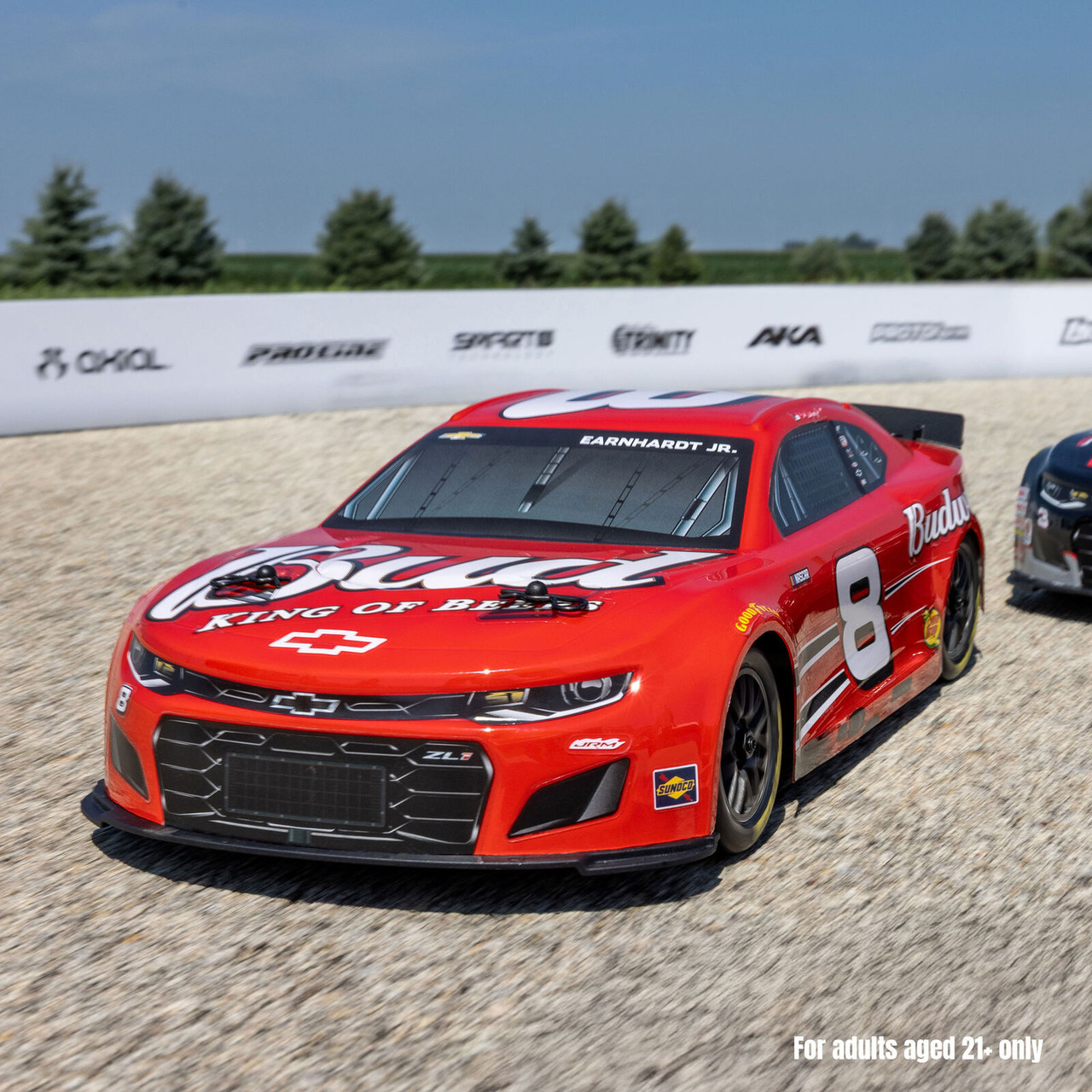 LOSF1122508 1/12 NASCAR RC Race Car Dale Earnhardt Jr. No. 8 Budweiser Chevrolet ZL1 2S AWD RTR Brushed On-Road (Battery & Charger Included), Red