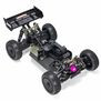 1/8 TLR Tuned TYPHON 4WD Roller Buggy, Pink/Purple  ARA8306