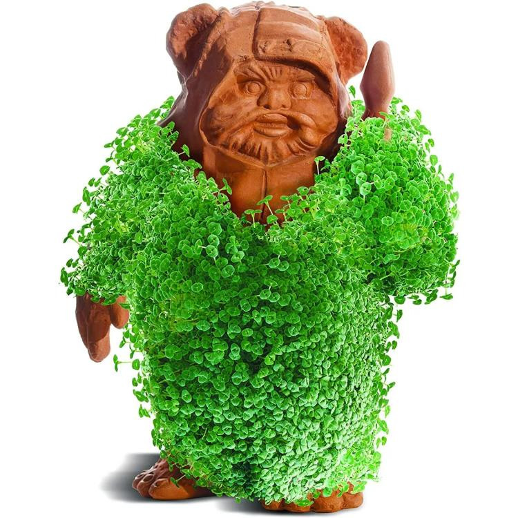 Star Wars Ewok Chia Pet