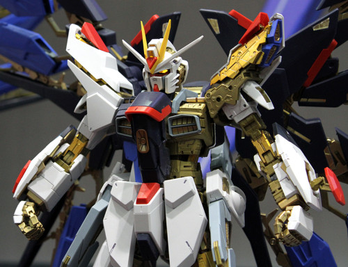 GUNDAM ZGMF-X20A STRIKE FREEDOM GUNDAM 1/60 BAN22513742251374