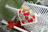 Swedish Dishcloth — Tomato Red