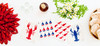 Swedish Dishcloth - Crayfish - Red