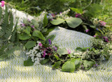 Kitchen Set — Leaves & Tomatoes Green | 1 Tea Towel + 2 Dishcloths