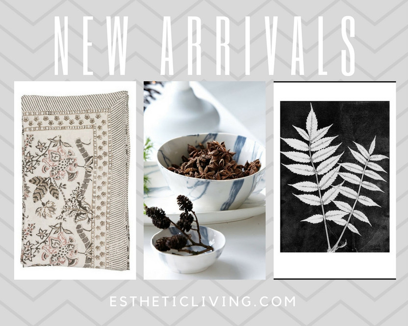 New Arrivals from Esthetic Living