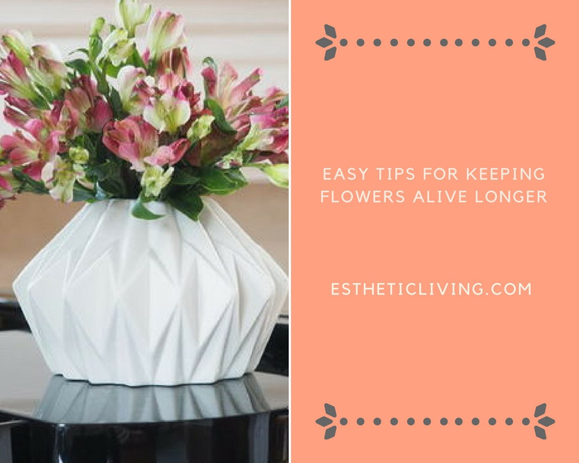 Q+ A: How to Keep Your Flowers Alive Longer