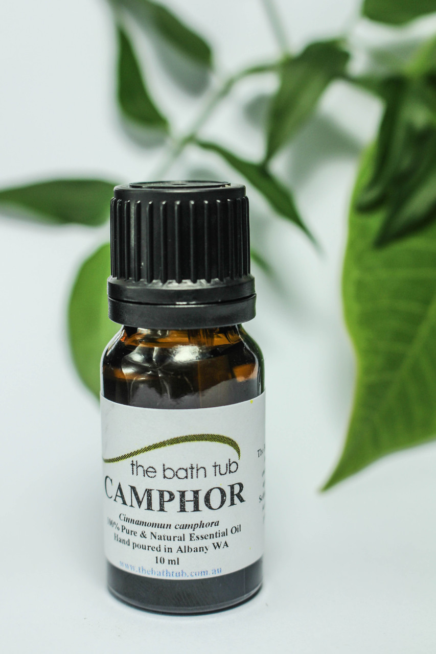 Camphor Essential Oil