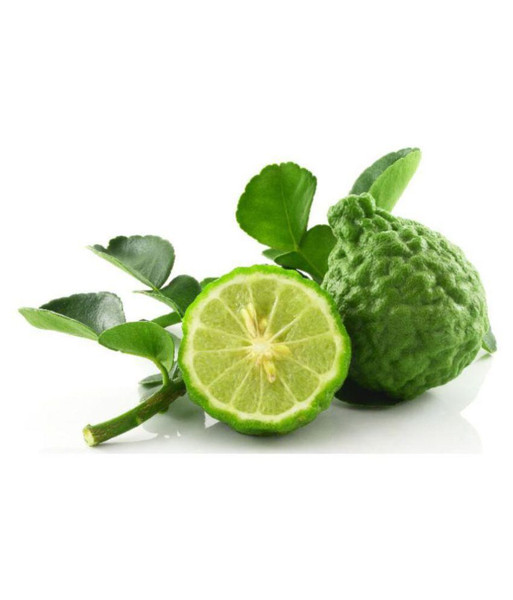 Bergamot Essential Oil