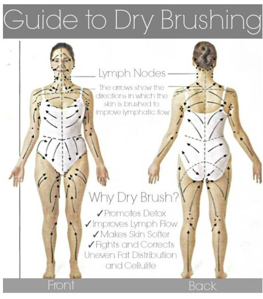 Guide for Dry Body Brushing