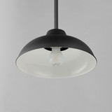 Barnlight 1-Light 12" Wide Indoor / Outdoor Black Pendant Light