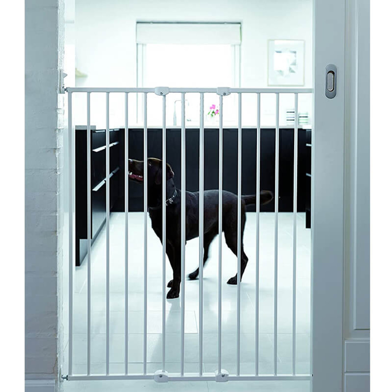 Babydan Extra Tall Extending Metal Pet Gate, White