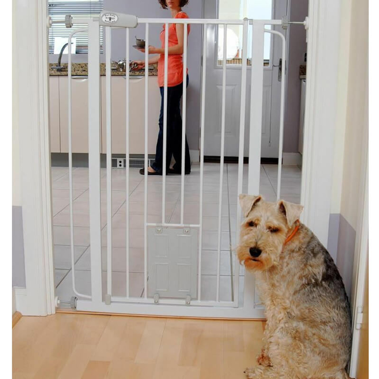 pet gate with cat door