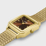 Gracieuse Petite, Mesh, Brown, Gold Colour Watch
