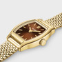 Tonnette Mini, Mesh, Brown, Gold Colour Watch CW16504