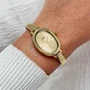 CLUSE L'Ovale Steel Full Gold Watch CW16104