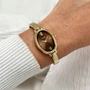 CLUSE L'Ovale Steel, Brown ,Gold Colour CW16105