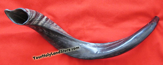 Authentic Kosher Shofar Ram s Horn