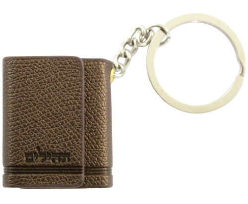Tehillim Keychain