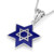 I STAND WITH ISRAEL Blue Enamel Star of David Necklace