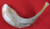 Jewish Rams Horn Light Brown Shofar