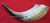 Traditional Half Polished Shofar