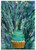 Yom Huledet Sameach Greeting Card