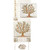 Tree of Life Tallit with Matching Bag & Kippah