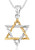 Star of David Necklace in 925 Sterling Silver & Gold Plating