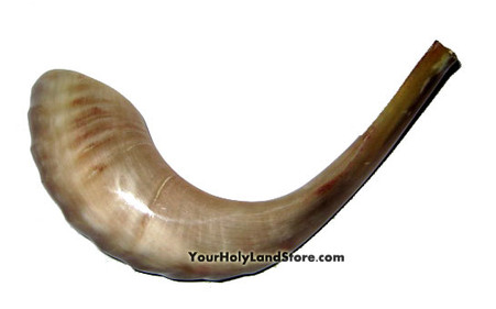 Jewish Rams Horn Light Brown Shofar