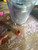 165 Grain Elmer Keith SWCHP